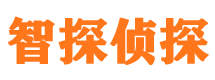 雷山市私家侦探